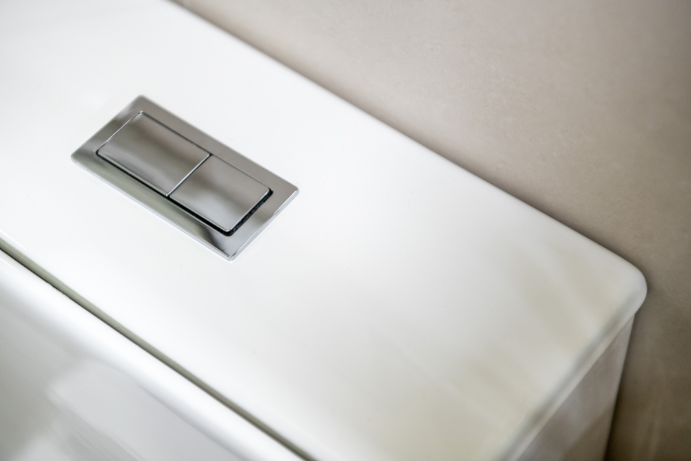 Toilet flush button close-up in the restroom